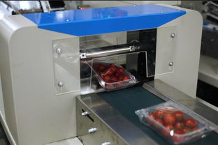機遇與挑戰并存 探析當前食品包裝機械市場前景